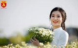 Ngẩn ngơ ngắm hoa khôi sinh viên Hà Nội khoe sắc bên cúc họa mi